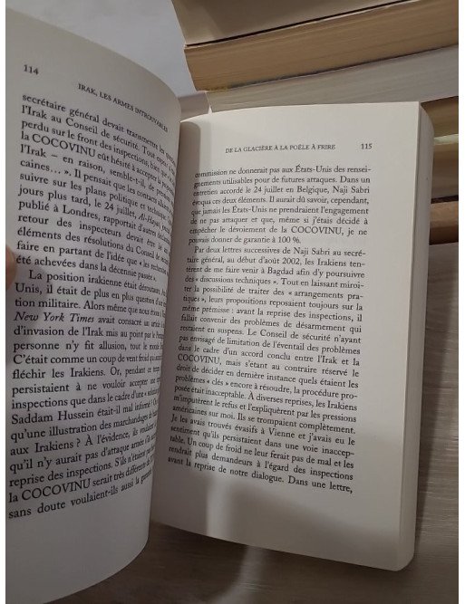 Irak, les armes introuvables