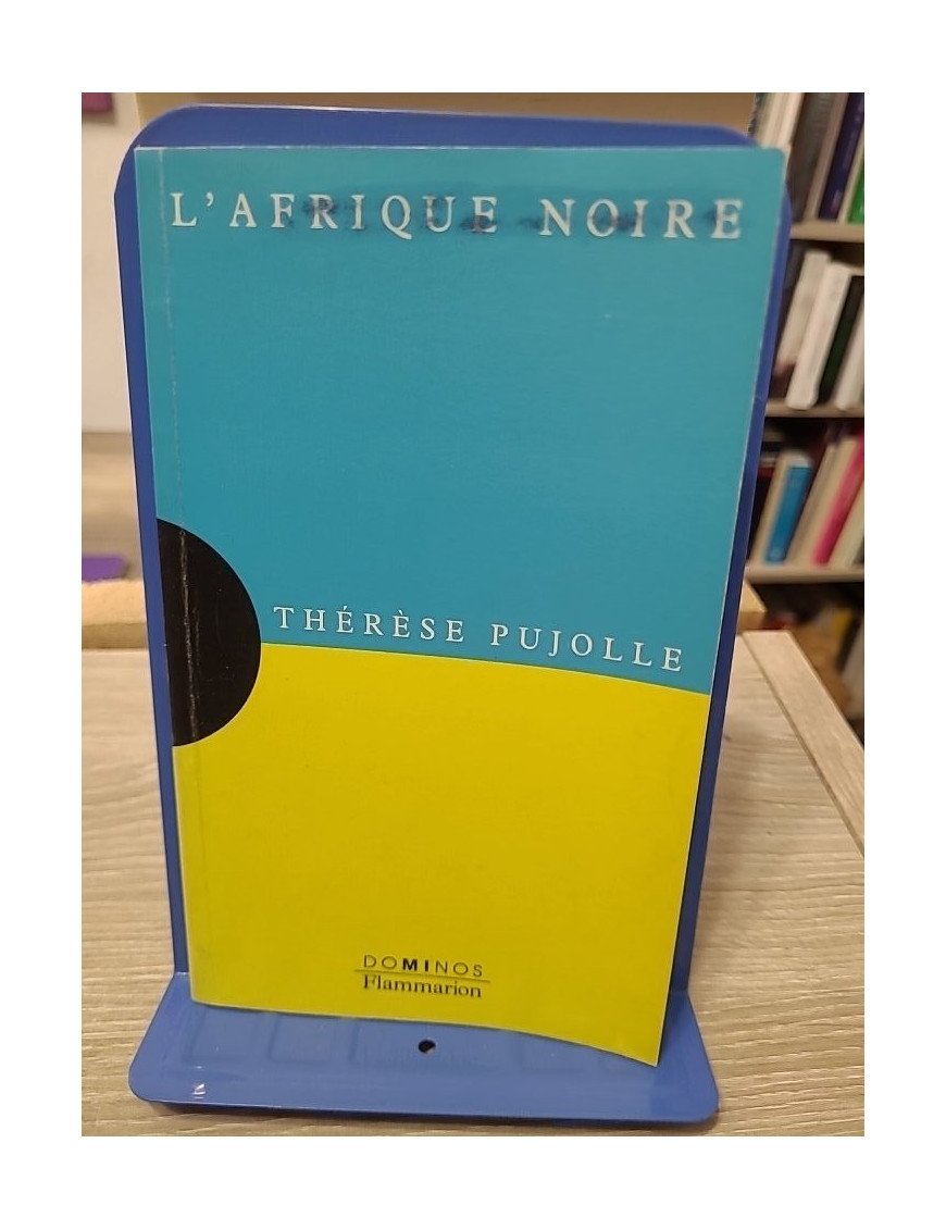 L'Afrique noire - Un exposé pour comprendre, un essai pour réfléchir