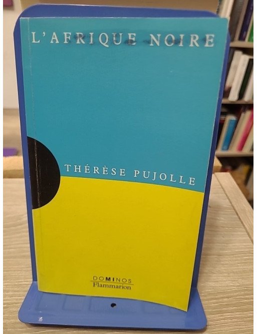 L'Afrique noire - Un exposé pour comprendre, un essai pour réfléchir