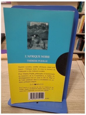 L'Afrique noire - Un exposé pour comprendre, un essai pour réfléchir