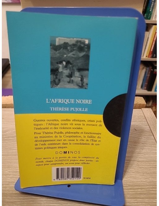 L'Afrique noire - Un exposé pour comprendre, un essai pour réfléchir