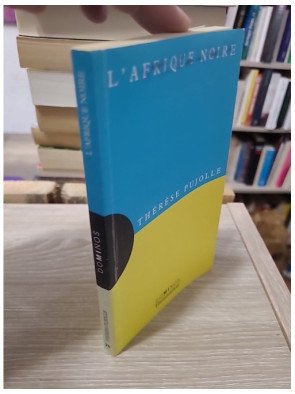 L'Afrique noire - Un exposé pour comprendre, un essai pour réfléchir