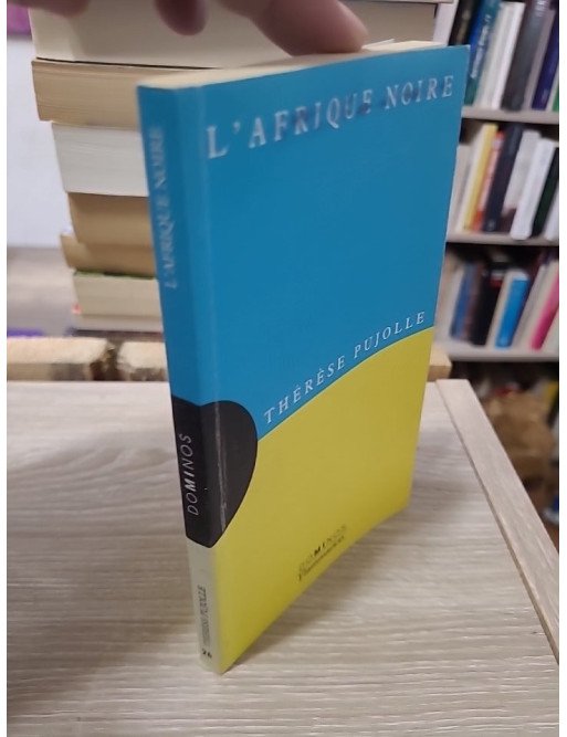L'Afrique noire - Un exposé pour comprendre, un essai pour réfléchir
