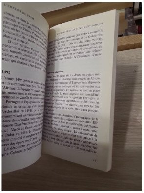 L'Afrique noire - Un exposé pour comprendre, un essai pour réfléchir