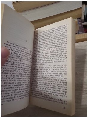 Terreur Blanche - David Wiltse