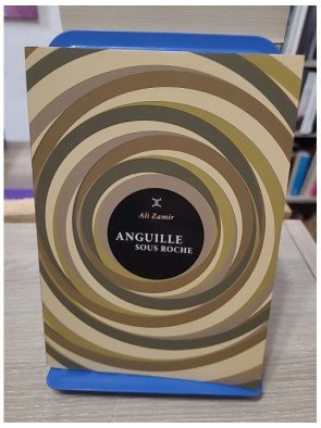 Anguille sous roche - Ali Zamir