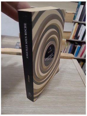 Anguille sous roche - Ali Zamir