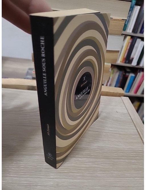 Anguille sous roche - Ali Zamir