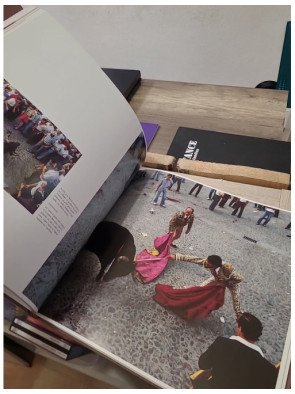 Castille - Sabine Vogel-Hargous, illustrations de Théodore Vogel