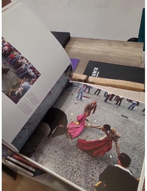 Castille - Sabine Vogel-Hargous, illustrations de Théodore Vogel