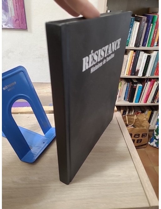 Résistance - Histoires de familles 1940-1945 - Dominique Missika et Dominique Veillon