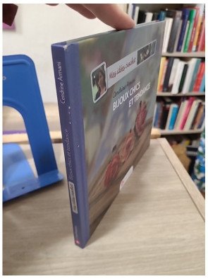 Mes idées crochet - Bijoux chics et tendance - Cendrine Armani