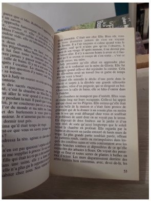 Dernière Demeure - Les enquêtes de Miss Silver - Patricia Wentworth