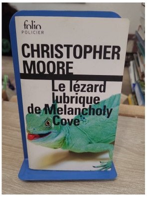 Le lézard lubrique de Melancholy Cove