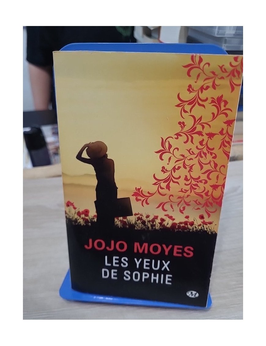 Les Yeux de Sophie - Roman d'amour entre deux époques