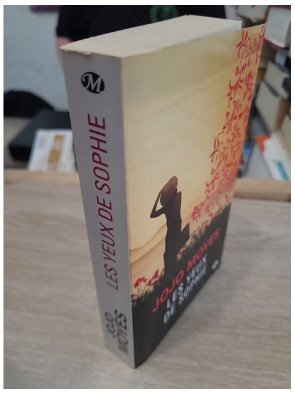 Les Yeux de Sophie - Roman d'amour entre deux époques