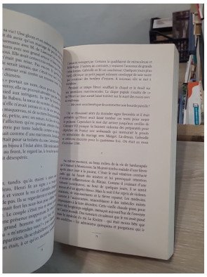 Les Amours de l'Histoire de France - Volume 2, Au temps du Vert Galant et des trois mousquetaires