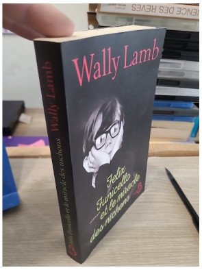 Felix Funicello et le miracle des nichons - Roman d'apprentissage drôle et nostalgique