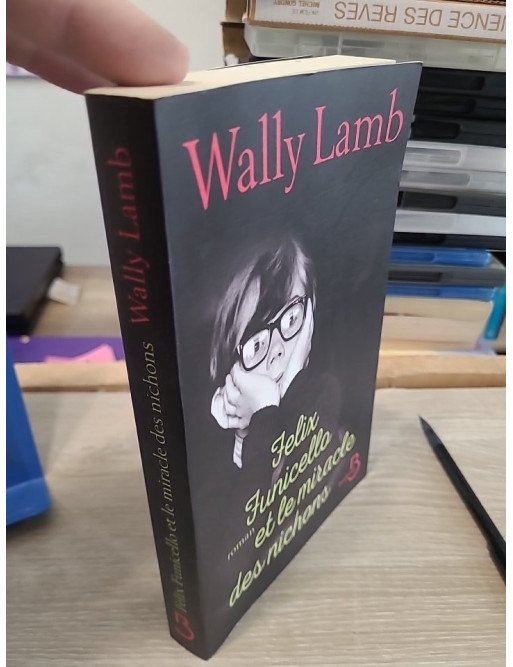 Felix Funicello et le miracle des nichons - Roman d'apprentissage drôle et nostalgique