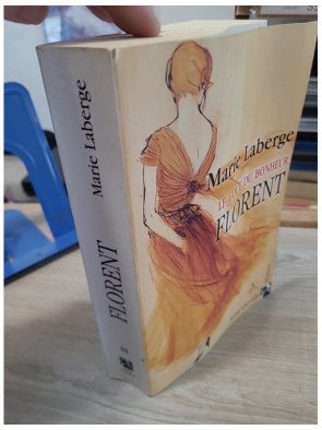 Le Goût du Bonheur Tome 3 - Florent - Saga familiale au Québec des années 50-60