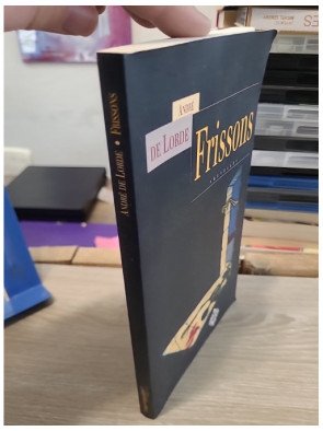 Frissons - Nouvelles fantastiques du Prince de la Terreur