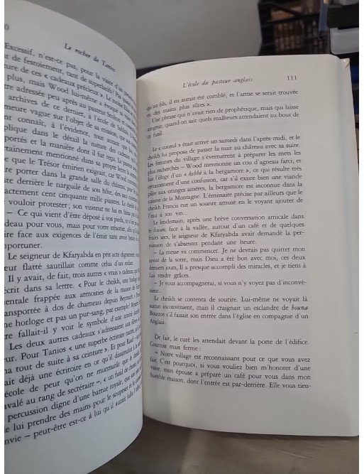 Le Rocher de Tanios - Roman historique au cœur du Liban du XIXe siècle