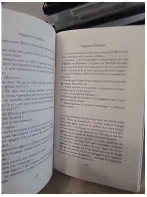 Vengeance d'automne - Roman policier entre Cévennes et mémoire de guerre