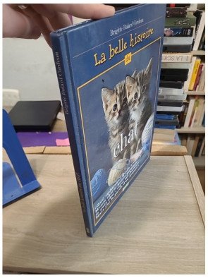 La belle histoire du chat - Album illustré en couleur