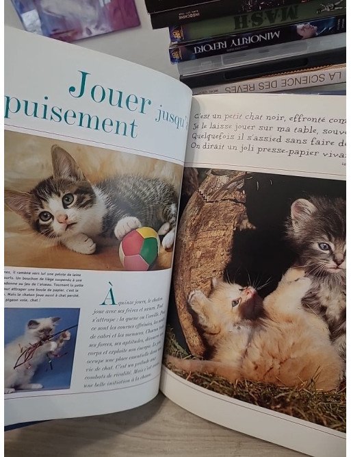 La belle histoire du chat - Album illustré en couleur