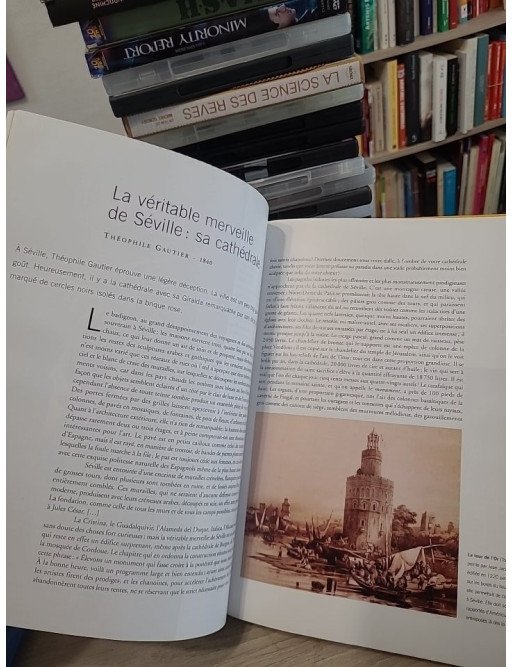 Les grands voyageurs racontent l'Espagne