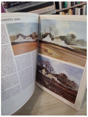 Les Secrets de l'aquarelle - Techniques et conseils des grands maîtres