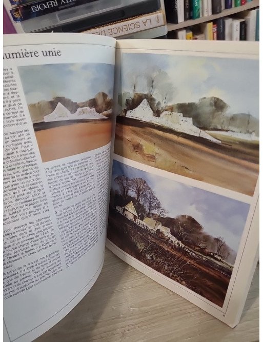 Les Secrets de l'aquarelle - Techniques et conseils des grands maîtres