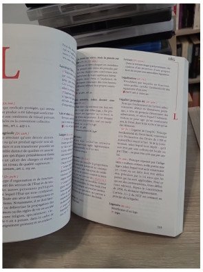 Lexique des termes juridiques - 13e édition