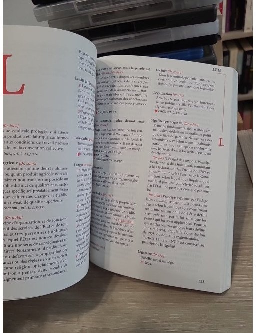 Lexique des termes juridiques - 13e édition