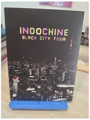 Indochine - Black City Tour (DVD)