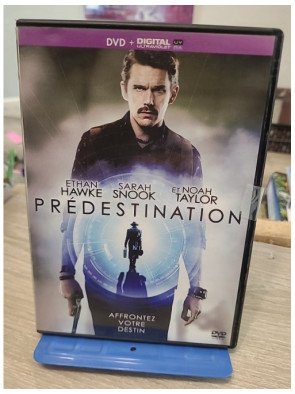 Predestination (DVD)