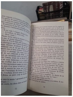 La Guerre des Clans - Cycle 1 Tome 2 : À Feu et à Sang