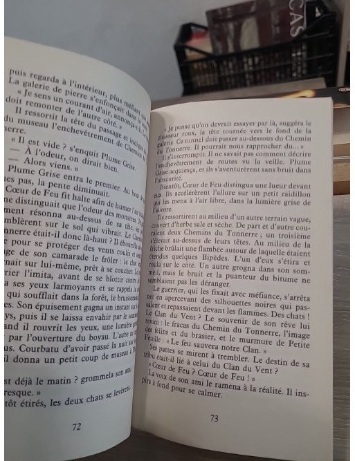 La Guerre des Clans - Cycle 1 Tome 2 : À Feu et à Sang