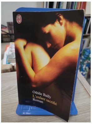 L'enfant sacrifié - Roman psychologique sur un secret familial