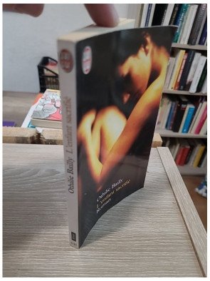 L'enfant sacrifié - Roman psychologique sur un secret familial