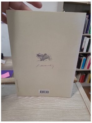 Lettres illustrées - Correspondance d'Édouard Manet en couleurs