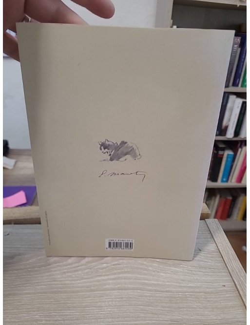 Lettres illustrées - Correspondance d'Édouard Manet en couleurs