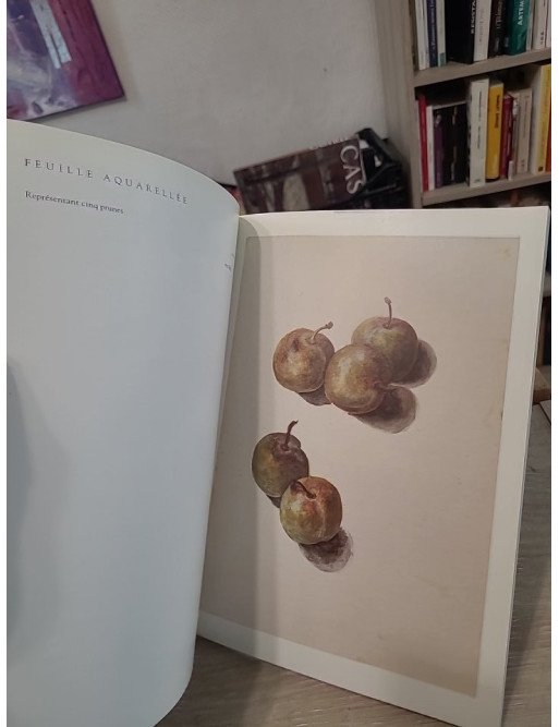 Lettres illustrées - Correspondance d'Édouard Manet en couleurs