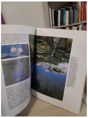 Monet visite à Giverny - Découverte illustrée de l'univers du peintre