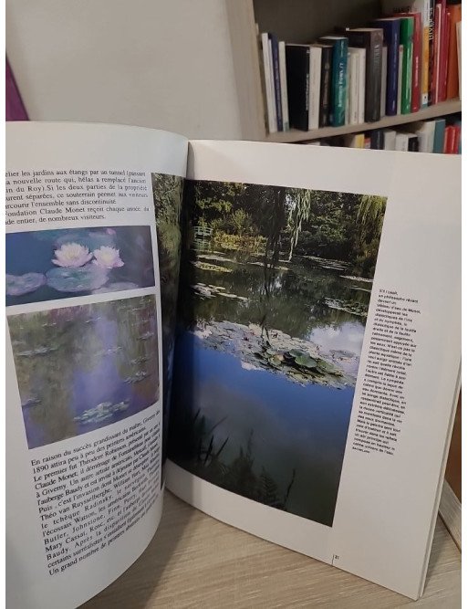 Monet visite à Giverny - Découverte illustrée de l'univers du peintre