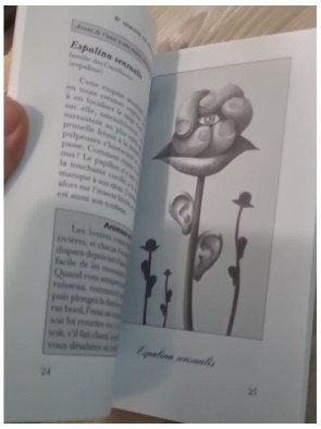 Petit almanach des plantes improbables & merveilleuses – Plantive & Guérard | Biloba n°9