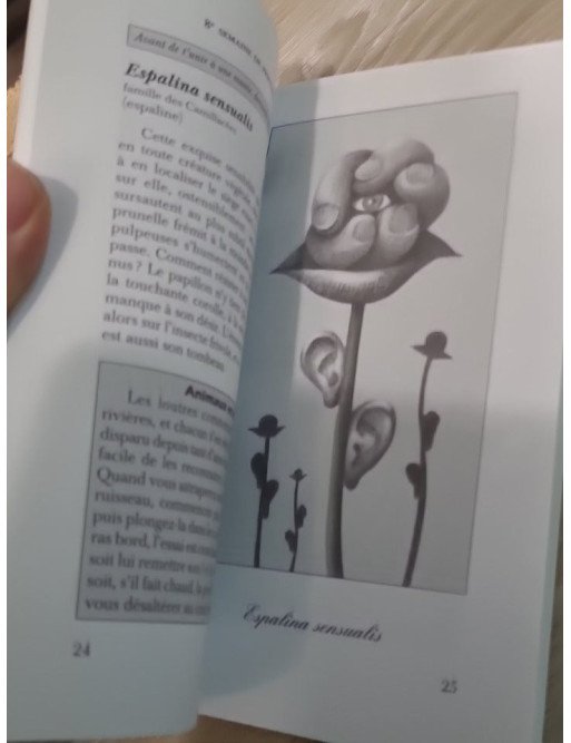Petit almanach des plantes improbables & merveilleuses – Plantive & Guérard | Biloba n°9