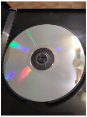 The Spy Within (DVD)