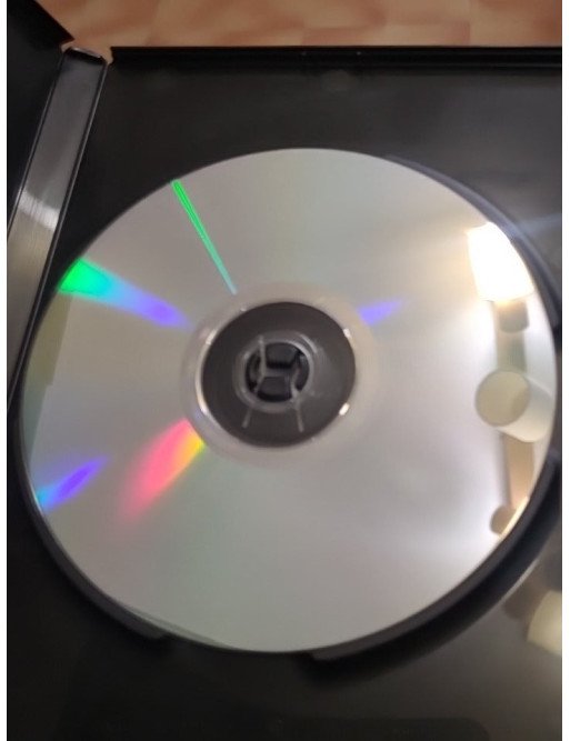 The Spy Within (DVD)