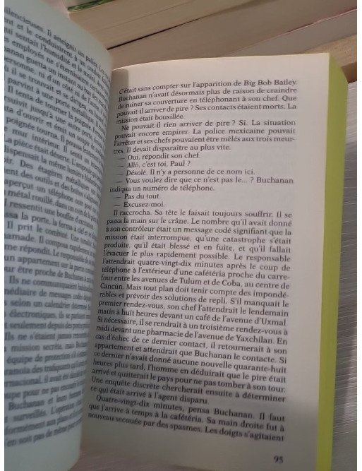 Usurpation d'identité - Thriller psychologique de David Morrell